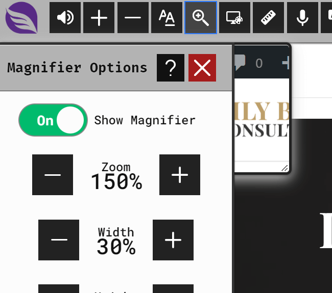 Magnifier options