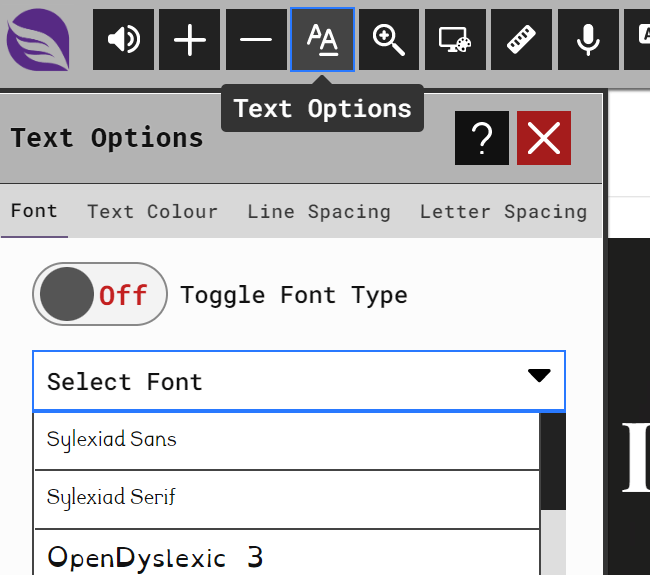 Text option tools