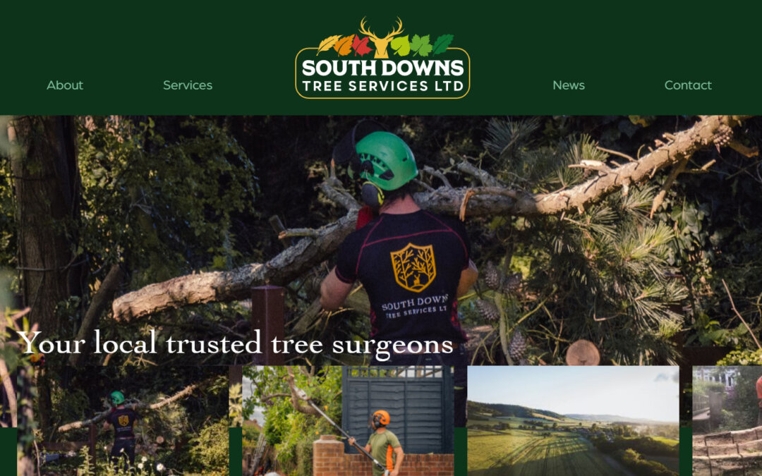 SEO Hampshire – South Downs Tree Service Case Study